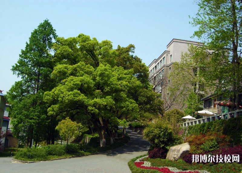 中國美術學院附屬中等美術學校2020年報名條件、招生要求、招生對象