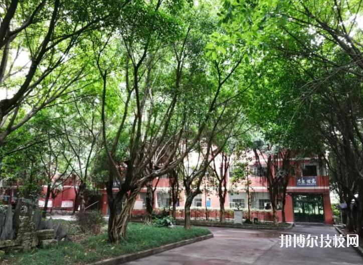 重慶舞蹈學校2020年報名條件、招生要求、招生對象