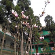 昆明現代科技學校