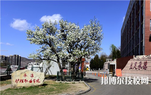 承德護理職業(yè)學(xué)院怎么樣、好不好