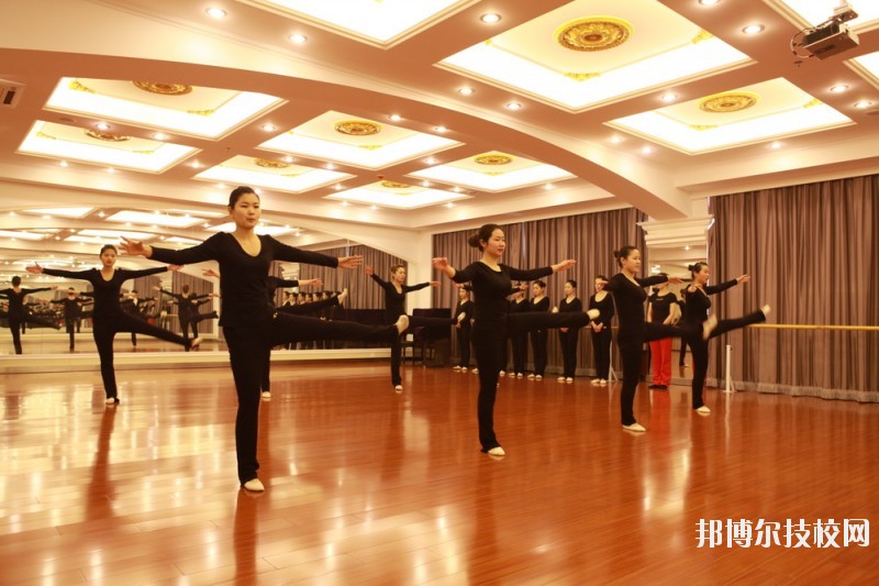 滄州職業(yè)技術(shù)學(xué)院2020年報(bào)名條件、招生要求、招生對(duì)象