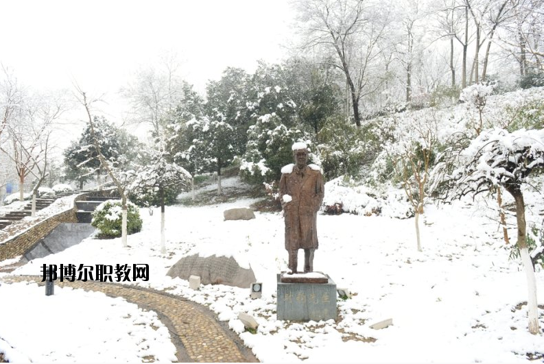 南京工業(yè)大學(xué)2020年報名條件、招生要求、招生對象