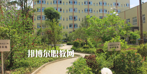 道真中等職業(yè)學校2020年報名條件、招生要求、招生對象