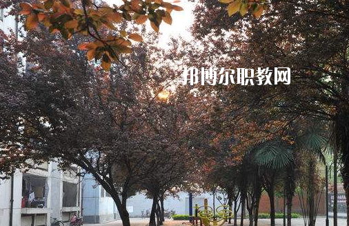 棗陽第二職業高級中學4