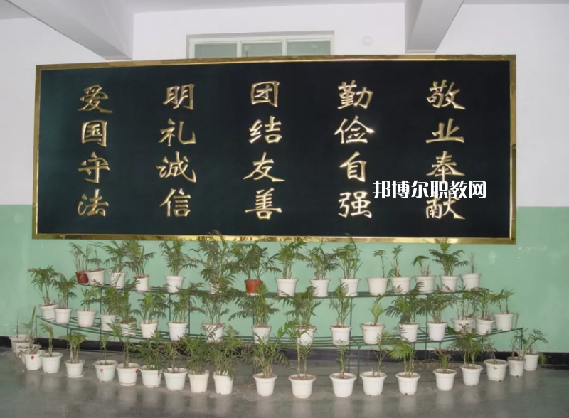 河北吳橋雜技藝術(shù)學(xué)校2022年報名條件、招生要求、招生對象