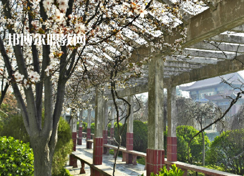 阜陽工業(yè)經(jīng)濟(jì)學(xué)校2022年報(bào)名條件、招生要求、招生對(duì)象