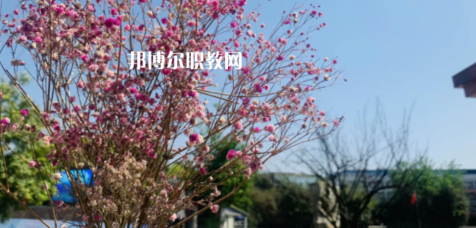 成都華大醫藥衛生學校怎么樣、好不好