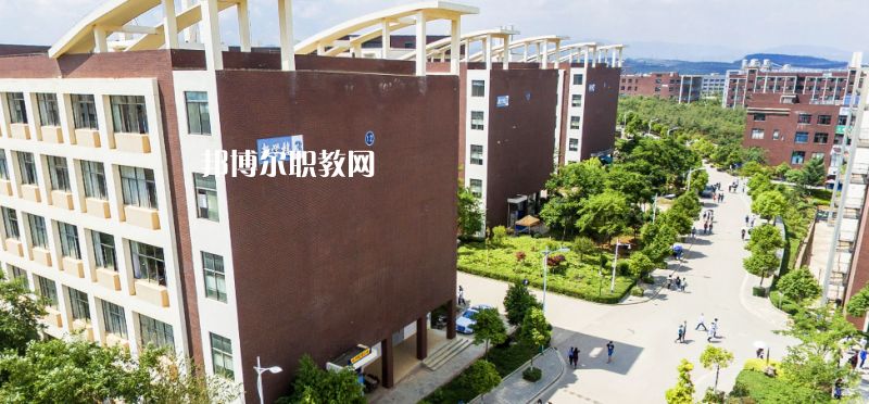 云南工藝美術學校2022年報名條件、招生要求、招生對象