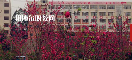 岑溪市中等專業學校2022年報名條件、招生要求、招生對象