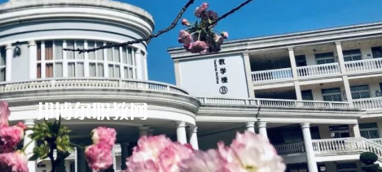 2023紹興越秀外國語學(xué)校招生計劃 招生人數(shù)是多少(附要求、條件、對象)