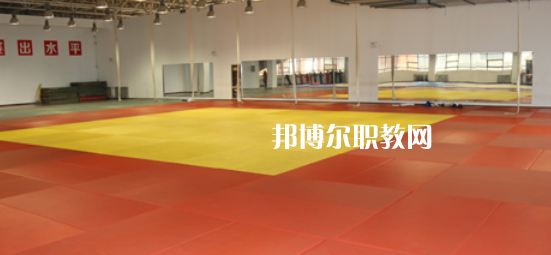 2023渭南市青少年體育運動學校招生計劃 招生人數是多少(附要求、條件、對象)